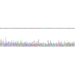 Mouse Thrombospondin Type I Domain Containing Protein 7A (THSD7A) Protein