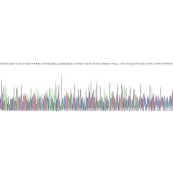 Human Agrin (AGRN) Protein