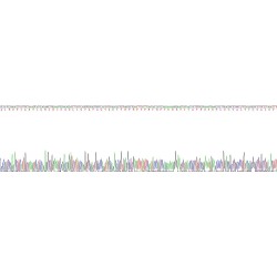 Human Collagen Type VI Alpha 3 (COL6A3) Protein