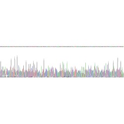 Human Prosaposin (PSAP) Protein