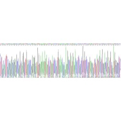 Human Asialoglycoprotein Receptor 1 (ASGR1) Protein