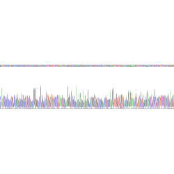 Human MOCO Sulphurase C-Terminal Domain Containing Protein 1 (MOSC1) Protein