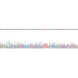 Human Collagen Type IV Alpha 3 (COL4A3) Protein