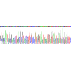 Human Neuronal Acetylcholine Receptor Subunit Alpha 7 (CHRNA7) Protein