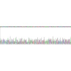 Human Barrier-To-Autointegration Factor (BANF1) Protein