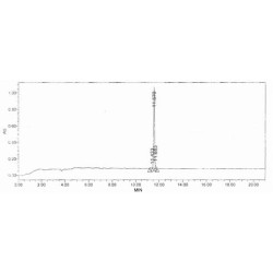 Human Procollagen Type III N-Terminal Propeptide (PIIINP) Peptide (OVA)