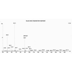 Human Procollagen Type III N-Terminal Propeptide (PIIINP) Peptide (OVA)