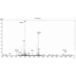 Orexin A (OXA) Peptide (OVA)