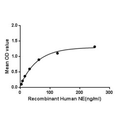 Human Neutrophil Elastase / ELA2 (ELANE) Protein (Active)