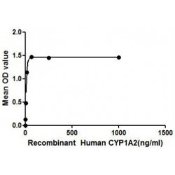 Human Cytochrome P450 1A2 (CYP1A2) Protein (Active)