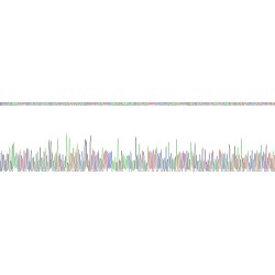 Human Lysyl Oxidase (LOX) Protein (Active)