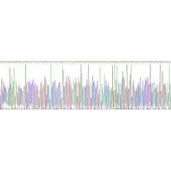 Mouse Tumor Necrosis Factor (TNF) Protein (Active)