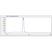 HPLC analysis of synthetic Human MUC1 Peptide.