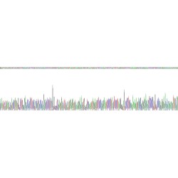 Human Cannabinoid Receptor 1, Brain (CNR1) Protein