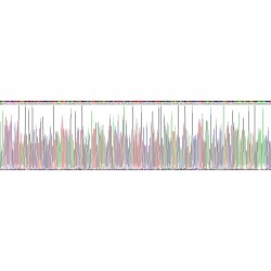 Human Scavenger Receptor Cysteine-Rich Type 1 Protein M130 (CD163) Protein