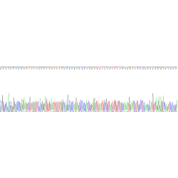 Human Histone Deacetylase 1 (HDAC1) Protein