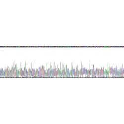 Human Multimerin 2 (MMRN2) Protein