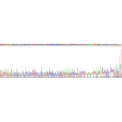 Rabbit P-Selectin (SELP) Protein