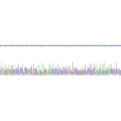 Mouse Surfactant Protein A1 (SFTPA1) Protein