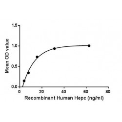 Human Hepcidin (HAMP) Protein (Active)