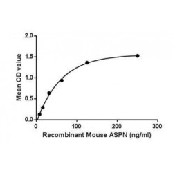 Mouse Asporin (ASPN) Protein (Active)