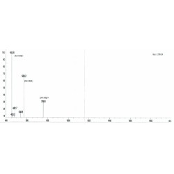 Human Beta Isomerized Cross-Linked (bCTx-CTXI) Peptide