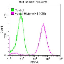 Histone H4 Acetyl-Lys16 (H4 AcK16) Antibody