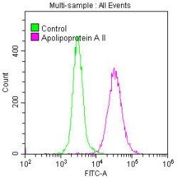 APOA2 Antibody