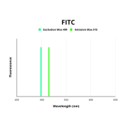 Fluorescence emission spectra of FITC.