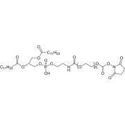 Chemical structure of DLPE-PEG-NHS.