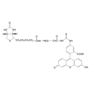 Chemical structure of FITC-PEG-Biotin.