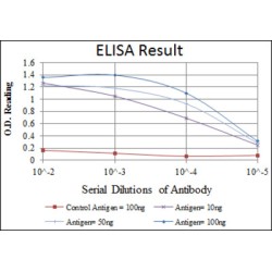 Apolipoprotein E (ApoE) Antibody