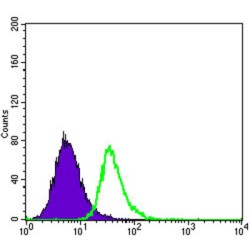 Apolipoprotein E (ApoE) Antibody