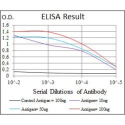 GRB2-Associated-Binding Protein 1 (GAB1) Antibody