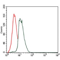 GRB2-Associated-Binding Protein 1 (GAB1) Antibody