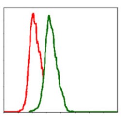 Integrin Beta 1 (ITGB1) Antibody