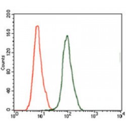 Prostate-Specific Antigen / PSA (KLK3) Antibody