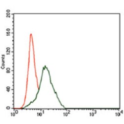 Frizzled Homolog 5 (FZD5) Antibody