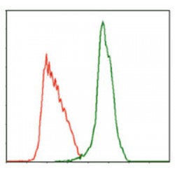 Thrombopoietin Receptor / CD110 (MPL) Antibody