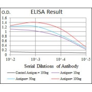 Figure 1: Red: Control Antigen (100ng) ; Purple: Antigen (10ng) ; Green: Antigen (50ng) ; Blue: Antigen (100ng).