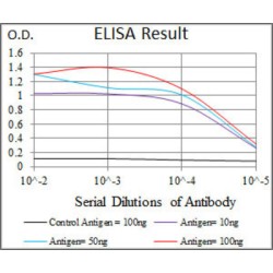 Phosphatidylinositol 3-Kinase Regulatory Subunit Alpha (PIK3R1) Antibody