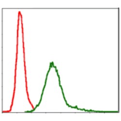 Baculoviral IAP Repeat-Containing Protein 5 (BIRC5) Antibody