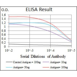 E2F Transcription Factor 1 (E2F1) Antibody