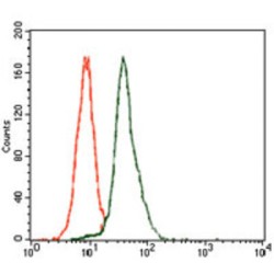 E2F Transcription Factor 1 (E2F1) Antibody