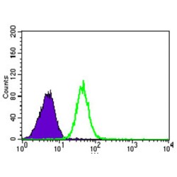 Prosaposin (PSAP) Antibody