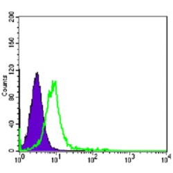 Chromodomain Helicase DNA Binding Protein 3 (CHD3) Antibody