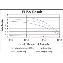 Teratocarcinoma Derived Growth Factor 1 (TDGF1) Antibody