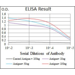 Thyroid Receptor-Interacting Protein 6 (TRIP6) Antibody