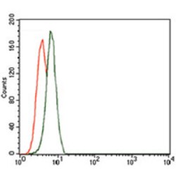 Thyroid Receptor-Interacting Protein 6 (TRIP6) Antibody