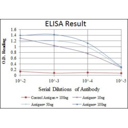 Apolipoprotein B (ApoB) Antibody